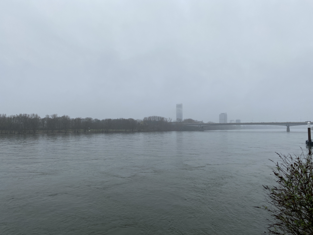 2024-03-13 Rhein 0070 k.JPG